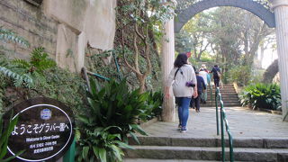 植物がきれいに手入れされています