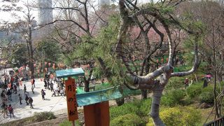 不忍池の眺めがいい