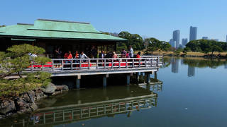 浜離宮恩賜庭園