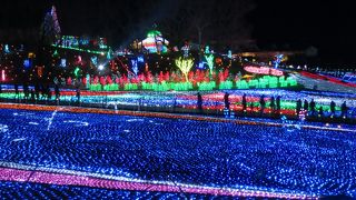 イルミネーション