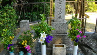 合気道の方です