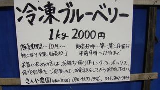 冷凍ブルーベリー