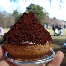 お花見に来ています