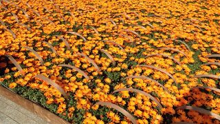 FLOWER GARDEN始まりました