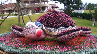 花の海洋生物オブジェが可愛い