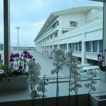 HANAいっぱいのＮＡＨＡ空港