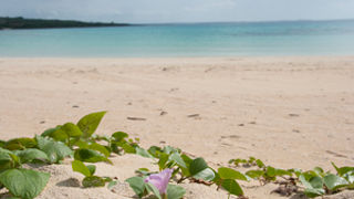 白浜で透明度抜群のビーチ