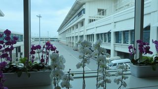 ＮＡＨＡ空港はＨＡＮＡいっぱい