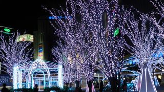 無料で見られるイルミスポット