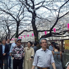 凄い人出なのです