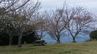 一周して下さい！