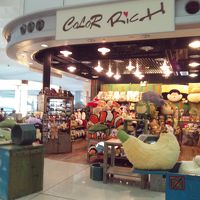 カラーリッチ (香港国際空港店)