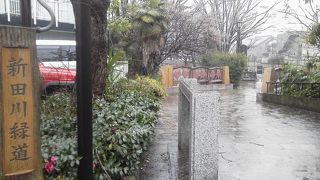 府中の憩いの緑道「新田川緑道」～府中・分倍河原～