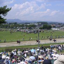 雲雀ヶ原祭場地(甲冑競馬)