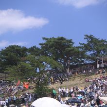 雲雀ヶ原祭場地(展望斜面)