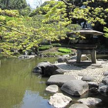 雪見灯籠がある日本庭園