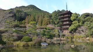 瑠璃光寺五重塔 --- さすが山口県が誇る国宝建築物です！本当に美しい建物でした。
