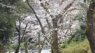 母智丘関之尾公園