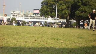 春の時期の山下公園オススメです♪