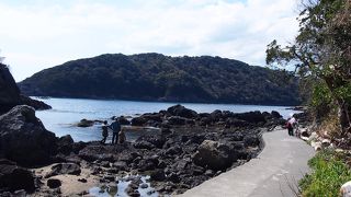 海と隣り合わせの絶景遊歩道！