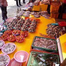 ユムシやホヤ、瀬戸貝(ムール貝）やナマコも。しかしユムシはグ