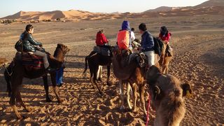 ラクダに乗れて嬉しい