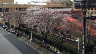 名谷駅の周りが桜の名所
