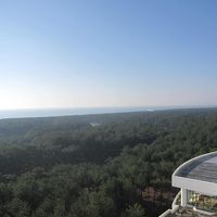 オーシャンビューというよりゴルフ場ビュー