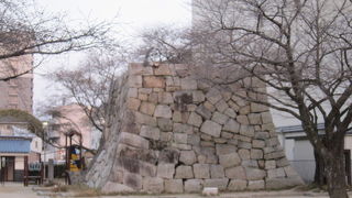 隅櫓跡の石垣が残っている城址公園