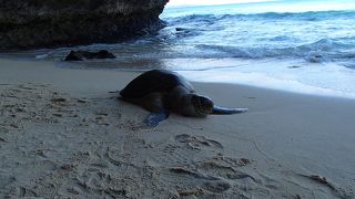 平良の町からすぐ