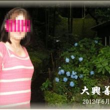 梅雨時期は湿度が多くて嫌いですが、紫陽花は綺麗ですね