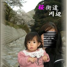 透水質の川水だったら良いのに・・・