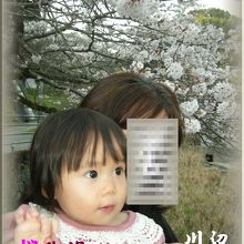 桜の美しさに娘も微笑顔です