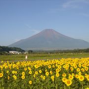 絶景です