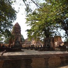 風景になじんでいます