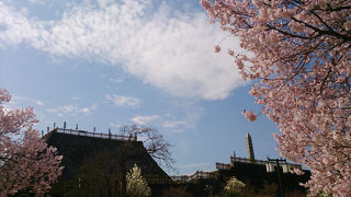 整備されて景色も美しい