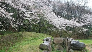 近つ飛鳥風土記の丘