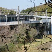 南知多ビーチランド、日本福祉大学の最寄駅