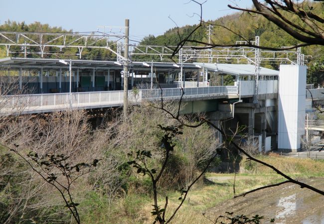 南知多ビーチランド、日本福祉大学の最寄駅