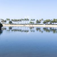 昼間のラグーン