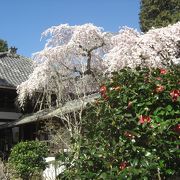 有名な寺への玄関口