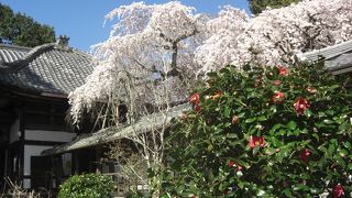 有名な寺への玄関口