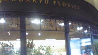 お花を買うなら