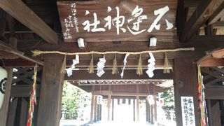 桜の綺麗な参道です!!