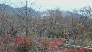 ハイキングもできる