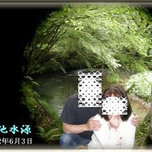 この場所に妖精が居るかもしれません