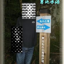 何度来ても良い水源地ですね