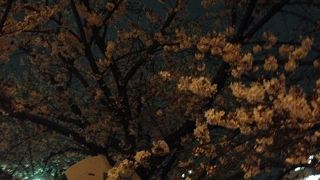 もう少しライトアップした方が…