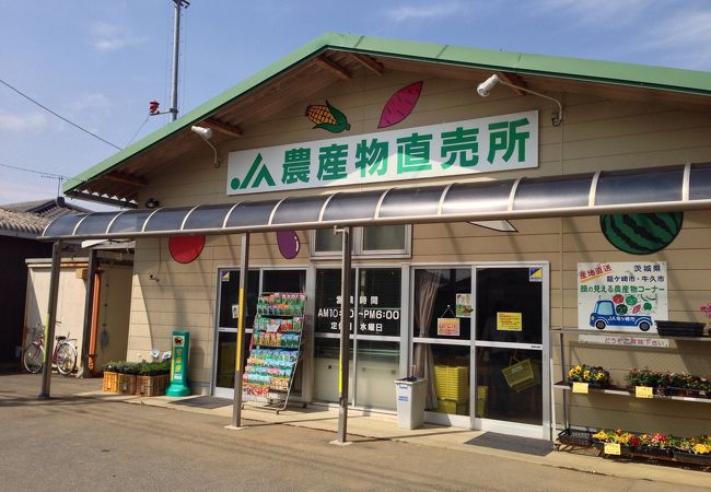 地元産の野菜がお手頃価格