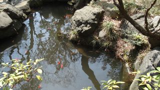 落ち着いた公園は駅至近、お奨めですよ。